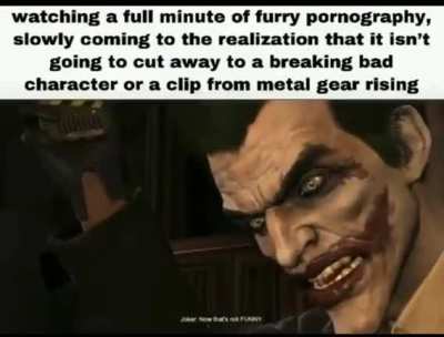 Furry_irl