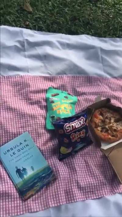 A peaceful picnic at the park