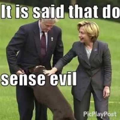 Based on the dog