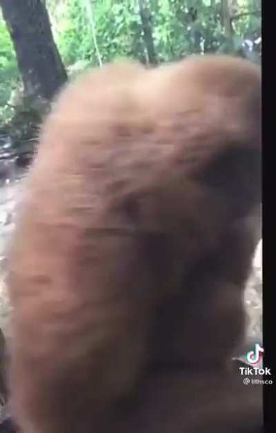 uuuu UUUUUU
