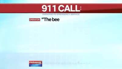 bees