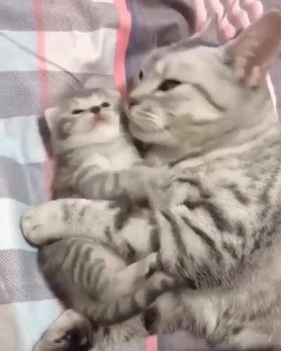 Love me mom