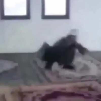 O his ki Kuran kursunda ki battleroyali kazan<wbr>mışsı<wbr>ndır.
