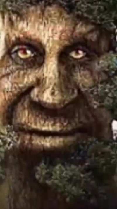 😳