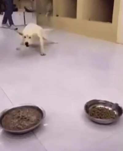 GIMME THAT … AND THAT, TOO!!