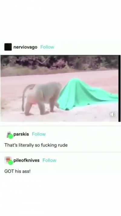 not sure if i need to crop it, but i’ve been laughing at this for so long