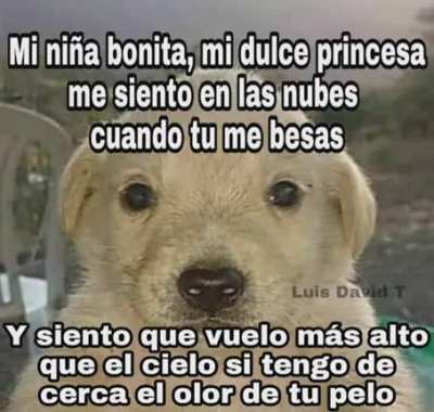 Temardo.