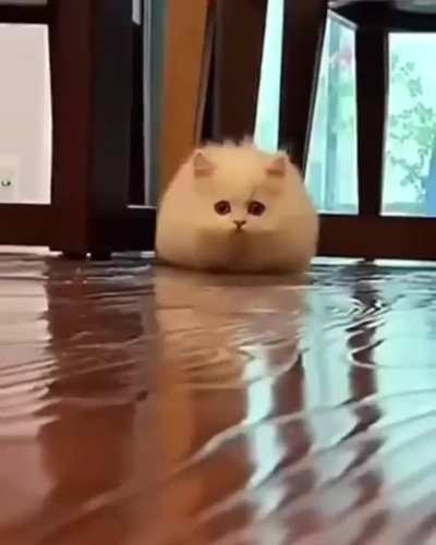 TerRIblE WhiTE NoMstEr cOnSumEs CamReA mAN