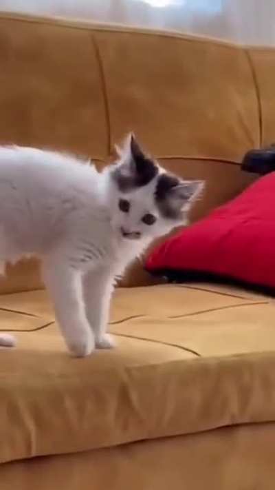 que