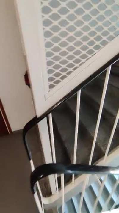 This door at my parents building that leads straight to their storage space.