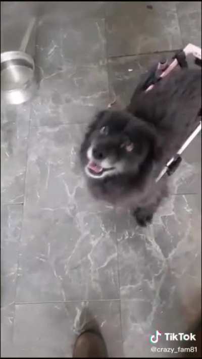 Aw:)