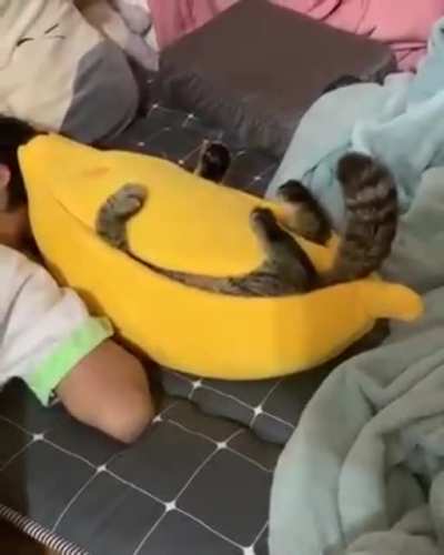 Banana Shape Pet House