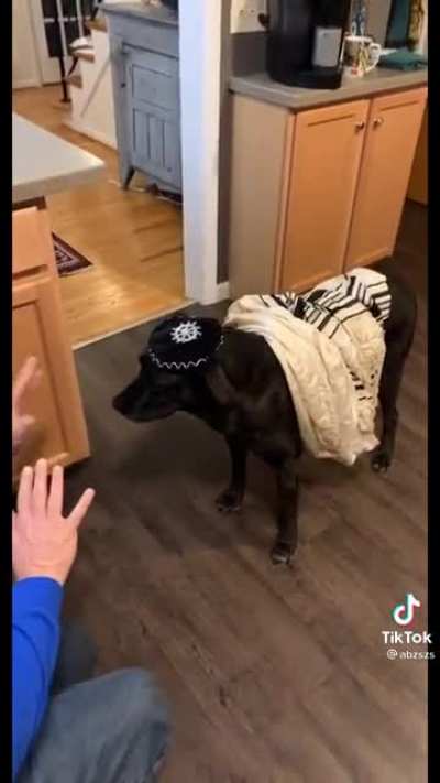 bark mitzvah