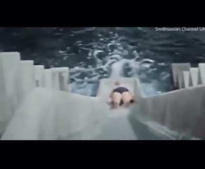 I give you: Winston Churchill going down a water slide in 1934.