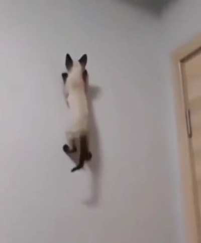 hmmm