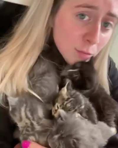 Trying to cuddle with kittens this age is intense. Even though they literally just ate
