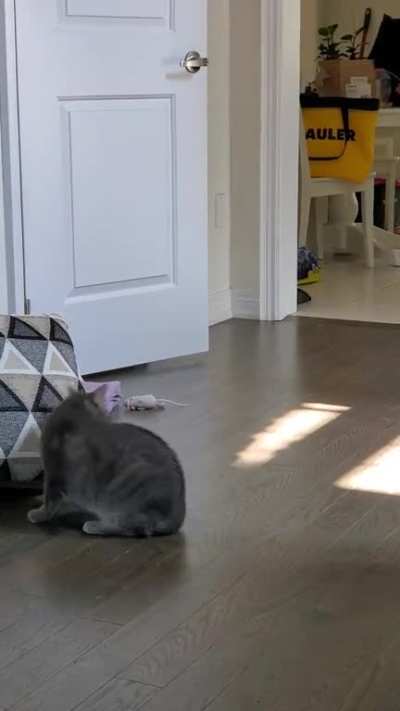 Apparently her tail betrayed her..