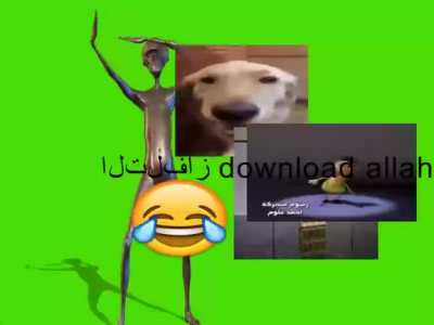 what tha dog doin