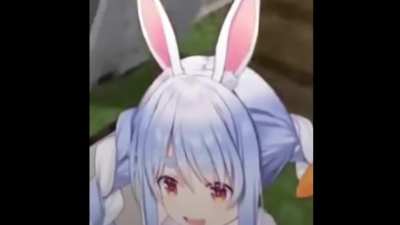 🦆