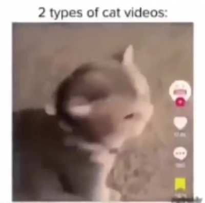 The duality