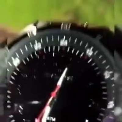 NOSSA MANO PERDERAM UM CACHORRO NO LAGO VÉI