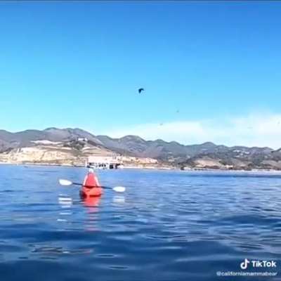 Kayaking is fun.