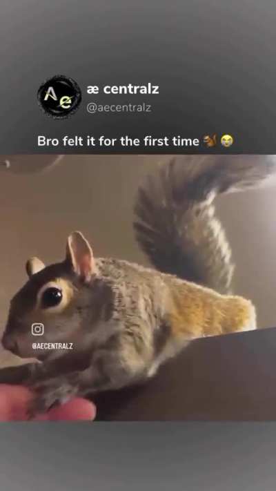 bro felt it
