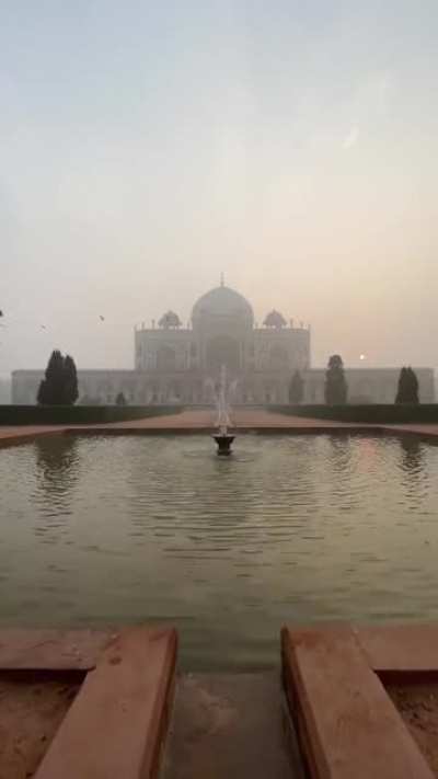 The magic of foggy winter mornings