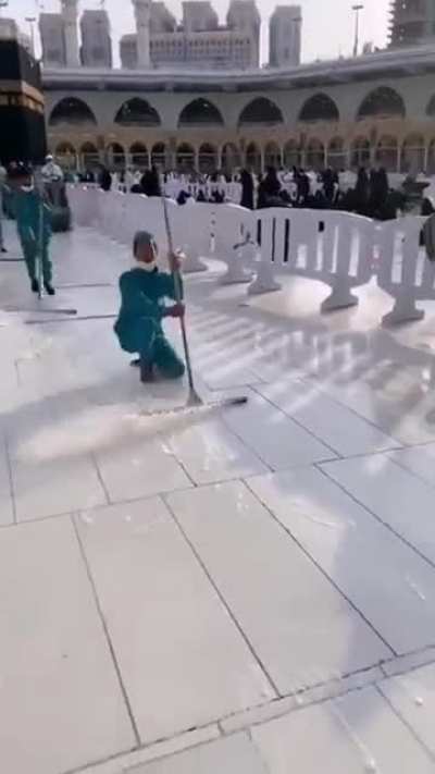 Thislooksfun