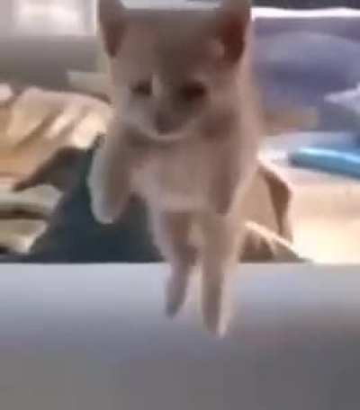 Jumping wunk