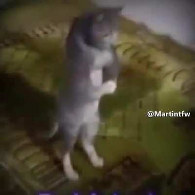 القاعدة رقم واحد 🕋