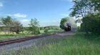 Squeaky Whistles (Part 8)