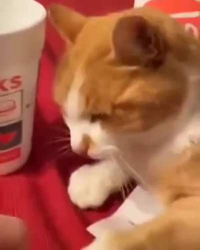 Touch Tha Food