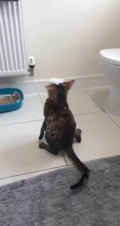Help me! I’m blind!