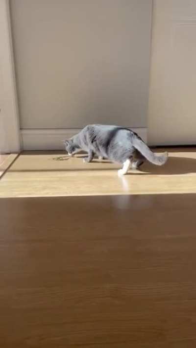 Шаг гордо<wbr>сти