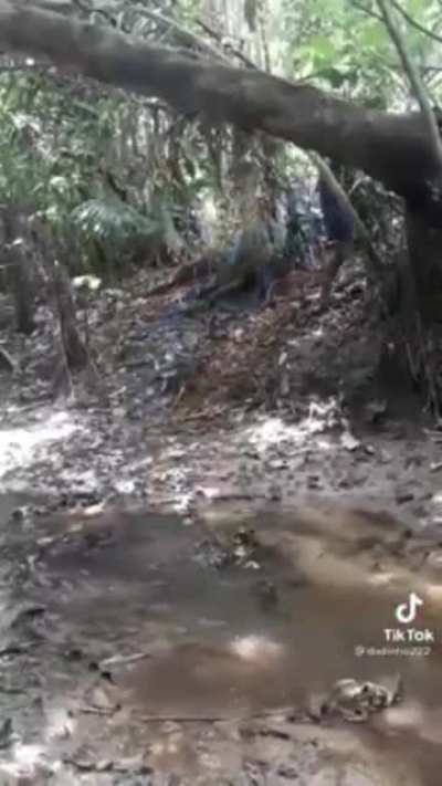 Posting videos found on Filipino facebook until I forget (Day 43)