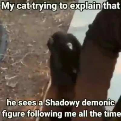 I'm sorry little one