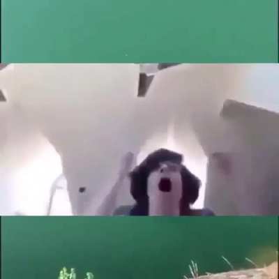 Bru