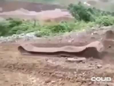 Тобi пизда