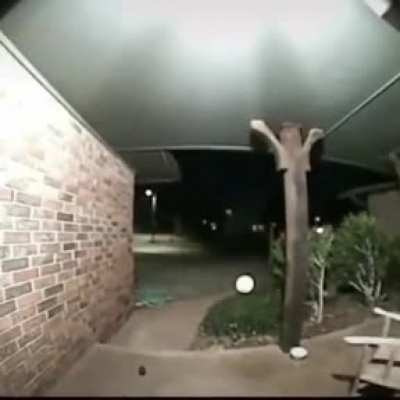 Forgot that Gifs don't have sound