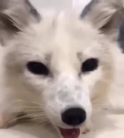 AAAAAAAAAAAAAHHHHHHHHHHH
