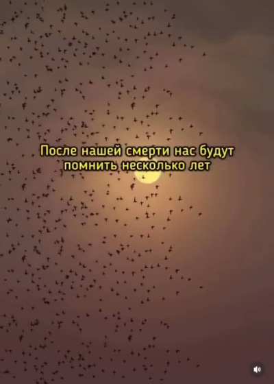 Минутка мотивации