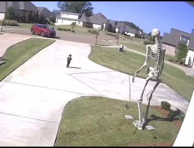Can you explain this video?