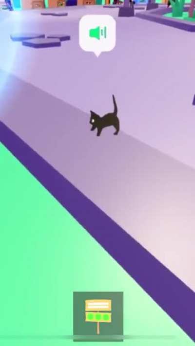 cat