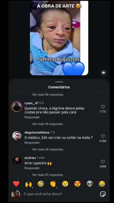 O PINTOR