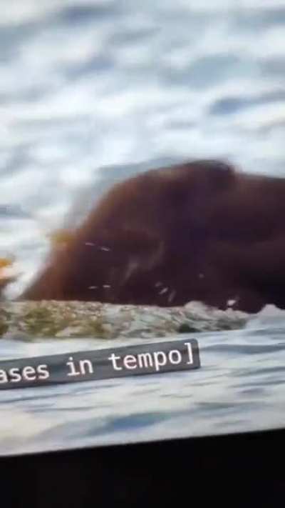 That eagle for sure did not see that coming.
