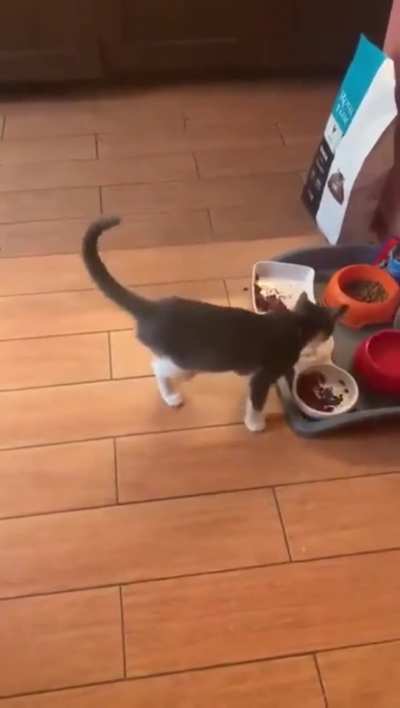 Food critic