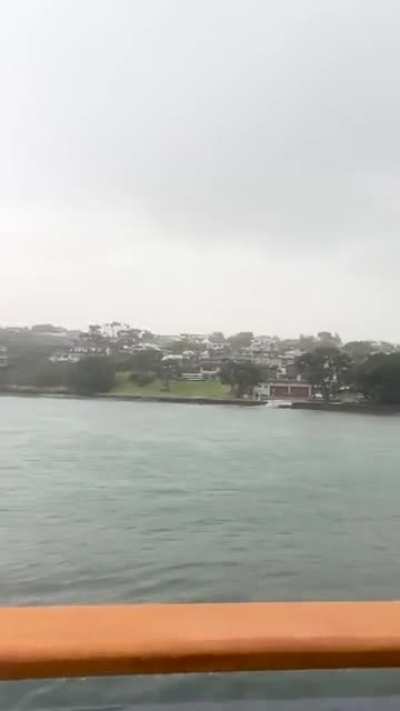 Summer rain