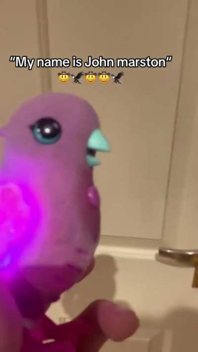 🐥