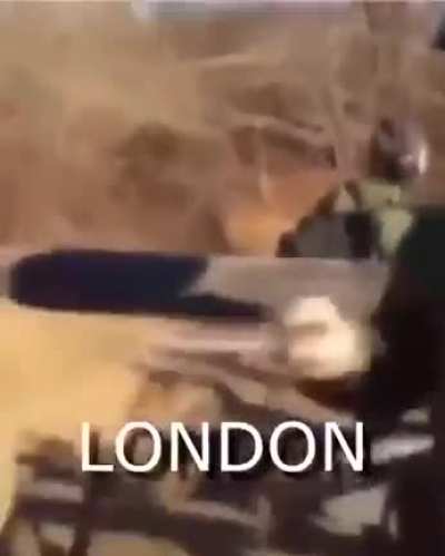 London moment